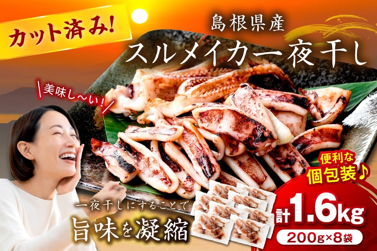 
            島根県産スルメイカ一夜干しカット済 計1.6kg（小分け200g×8袋） 小分け 干物 一夜干し イカ 魚介類 スルメイカ 【005_2060】
          