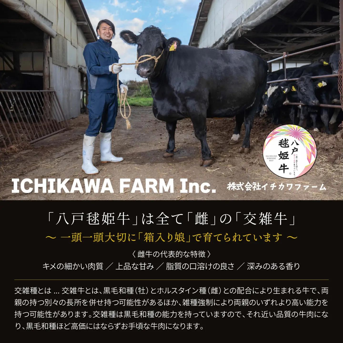 八戸 毬姫牛 切り落とし 700g 牛肉 国産　