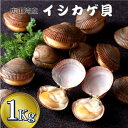 【ふるさと納税】《先行予約》 高級 幻の貝 イシカゲ貝 1kg (15～18個)【期日指定不可】【 希少 貝 魚貝類 海産物 新鮮 貴重 旬 刺身 ボイル 殻付き 人気 おすすめ お取り寄せ リピート 料理 冷蔵 国産 岩手 陸前高田 広田湾漁協 】 2024年6月下旬～順次発送予定