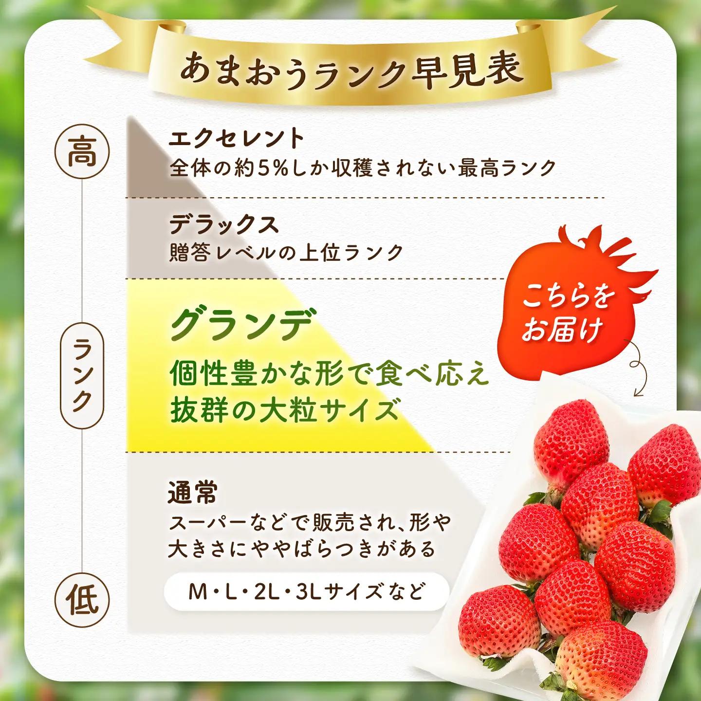 【2回定期便】いちご（あまおう）G等級 250g×4P / いちご[AFAB084]