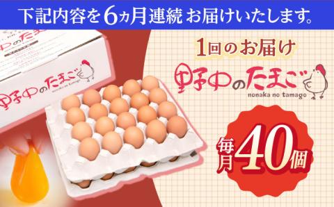 【6回定期便】産みたて新鮮卵 野中のたまご  40個×6回 計240個 /卵 たまご 高級卵 卵焼き 卵かけご飯 たまご 濃厚たまご【野中鶏卵】 [OAC005]