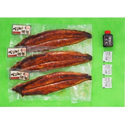 ひじまちのうなぎ　蒲焼120g×3尾(汽水養殖)(日出町)【配送不可地域：離島】【2002774】