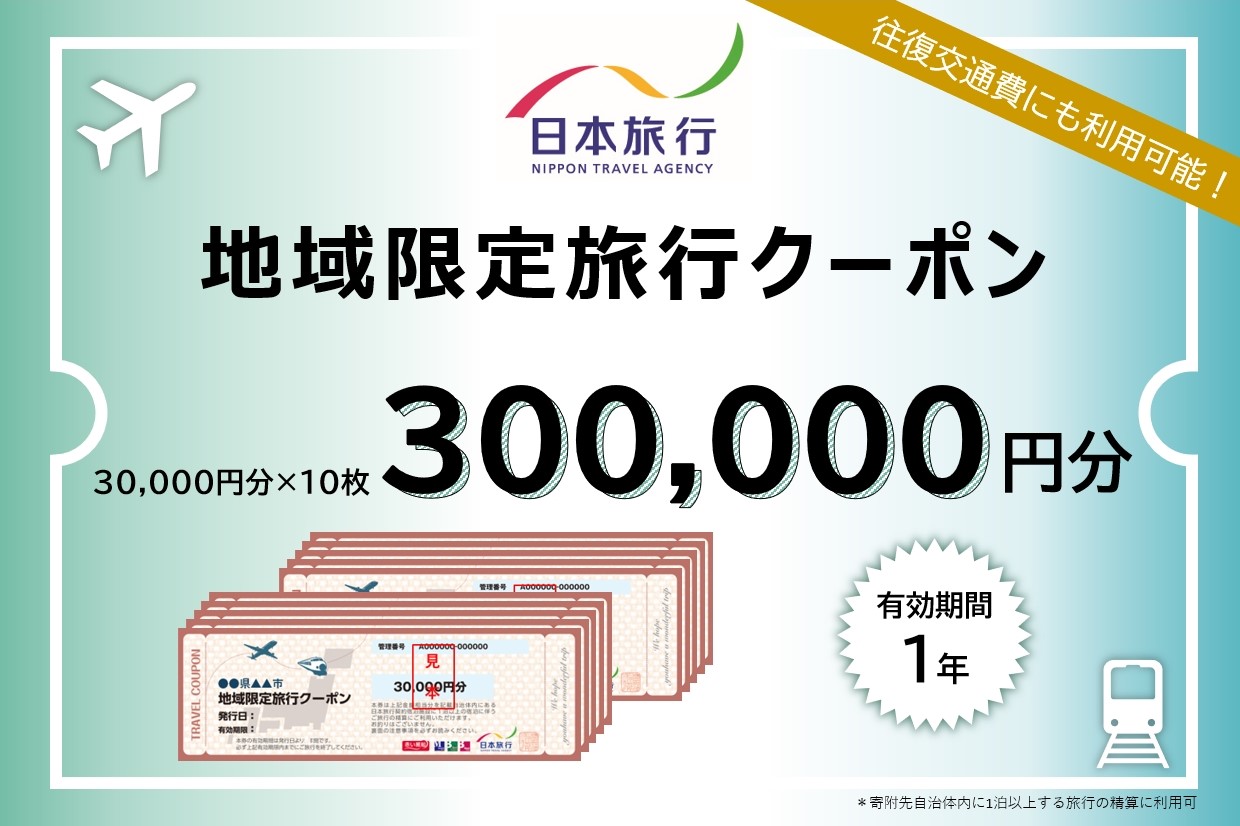 【東京都台東区】日本旅行 地域限定旅行クーポン [300,000円分]