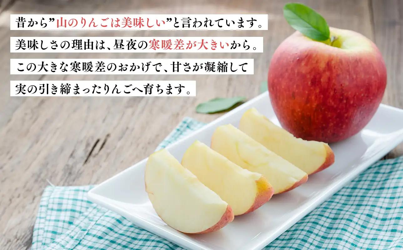 【12月中旬～発送】 蜜星りんごチップス 5袋セット 25g×5 りんご