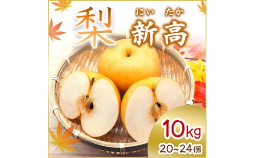 ＜2025年10月より順次発送予定＞新高　10kg　20～24個(県内共通返礼品:石岡市産) (BR013)