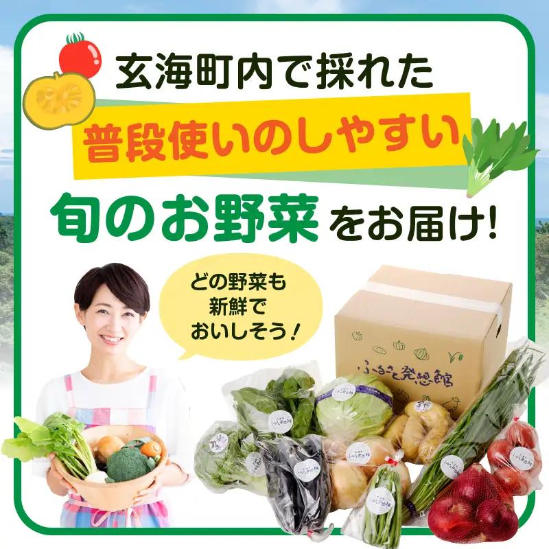 旬の野菜定期便 3か月 ／ 野菜【Z066】
