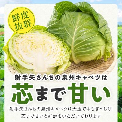 ふるさと納税 泉佐野市 【TVで紹介されました!】泉州キャベツ 5kg 2〜5玉 射手矢農園 G1624 |  | 01