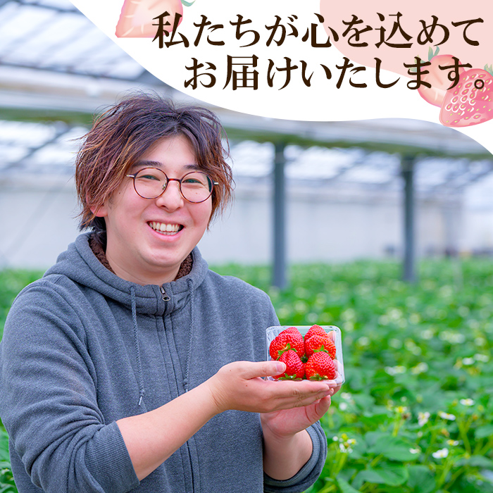 ≪先行予約受付中！≫宮城県登米市産いちご もういっこ 2.4kg（8パック） フルーツ 果物 果実 デザート くだもの いちご イチゴ 苺 ストロベリー 甘い パック 【いちごファームやなぎぶち】tm703