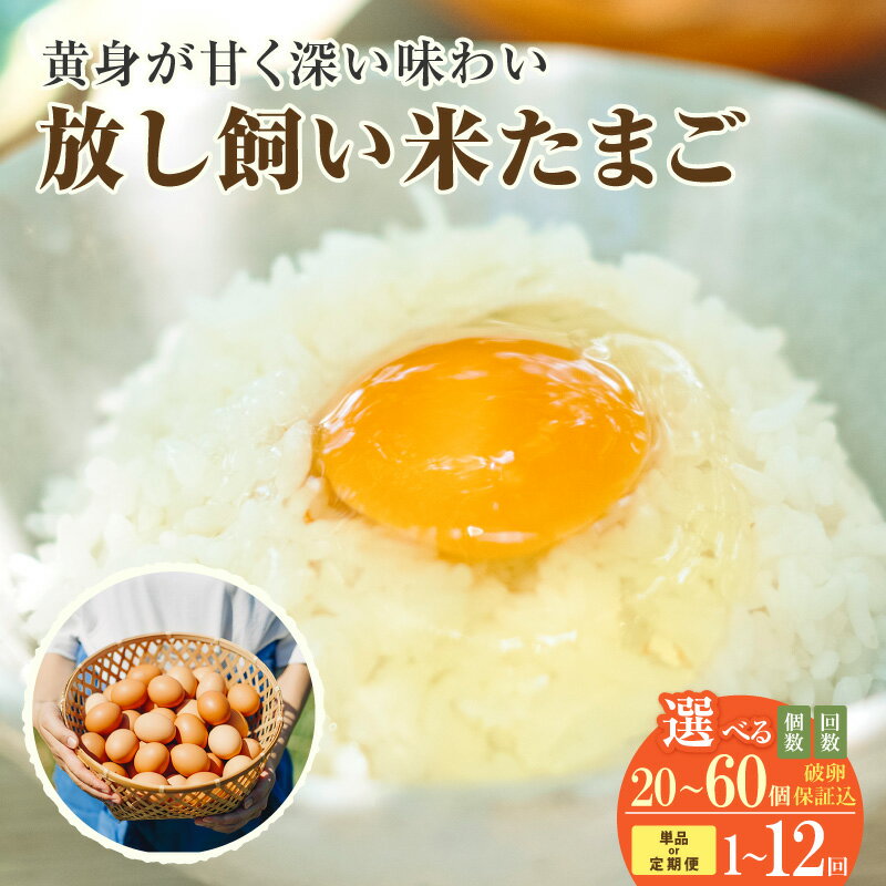 【ふるさと納税】 放し飼い 米たまご【選べる個数・お届け回数】【＋5個の割れ保証付き】 遺伝子組み換えのない飼料で育てました。 赤卵 卵 おいしい 卵かけご飯 安心・安全 生鮮食品 贈り物 ココテラス 送料無料