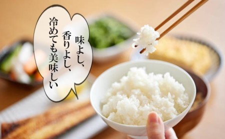 【3ヶ月連続定期便】農家直送！精米 令和7年度産 宮城県亘理町産 ひとめぼれ 10kg(計30kg)