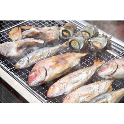 ふるさと納税 佐世保市 九十九島高島浜焼きBBQセット【A】 |  | 01