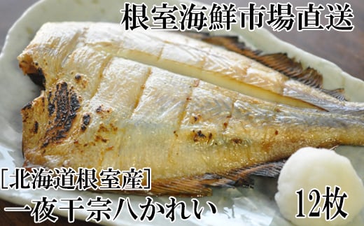 G-28006 根室海鮮市場＜直送＞【北海道根室産】一夜干し宗八かれい12枚