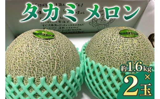 タカミ メロン (約1.6kg×2玉)｜2025年 令和7年 青森 津軽 つがる産 めろん 特産 ジューシー 糖度 フルーツ 果物 ギフト 産直 青肉メロン 夏メロン [0841]