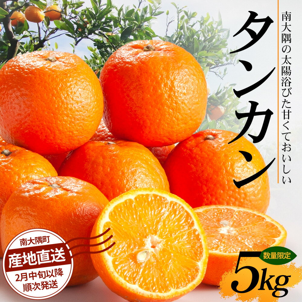 【ふるさと納税】【先行予約・数量限定】南大隅の太陽浴びた甘くて・おいしい タンカン 5kg【2026年2月中旬以降順次発送】｜たんかん タンカン 柑橘 甘い 果物 新鮮 産地 直送 先行予約 おすすめ 人気 南大隅町(AL7506)