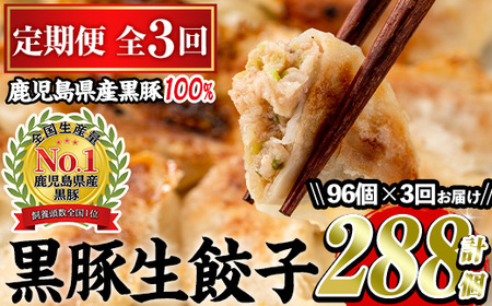 No.861t-A ＜定期便・全3回＞鹿児島黒豚使用の黒豚餃子(合計288個・12個入り×8パック×3回) 国産 九州産 ぎょうざ ギョウザ 冷凍 黒豚 豚肉 お肉 おかず 定期便 頒布会【末永商店】