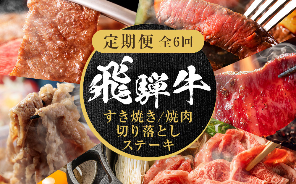 【定期便】全6回 飛騨牛 バラエティ（ステーキ /焼肉 / すき焼き/切り落とし） | 肉 お肉 黒毛和牛 和牛 個包装 小分け 牛肉 お取り寄せ 飛騨高山ミート MZ105