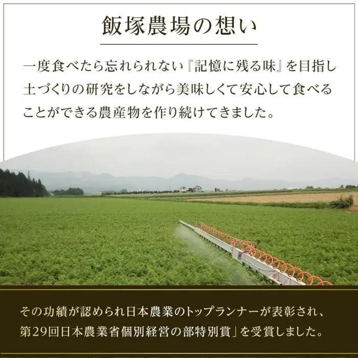 【夏季限定】飯塚農場産の八色原すいか　大玉2玉（赤1玉・黄1玉）セット【2026年7月下旬より順次発送予定】