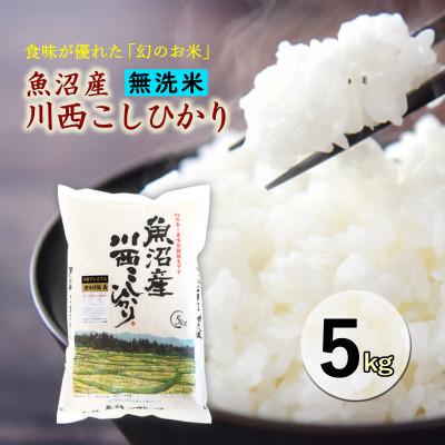 ふるさと納税 十日町市 【先行受付　10月下旬発送】【無洗米】新潟県魚沼産　川西こしひかり5kg　令和8年度米