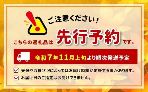 11月上旬頃より発送予定です。