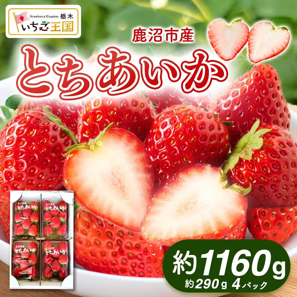 【先行予約】 いちご とちあいか 出会いの森いちご園 （290g×4パック） ※2026年12月～発送