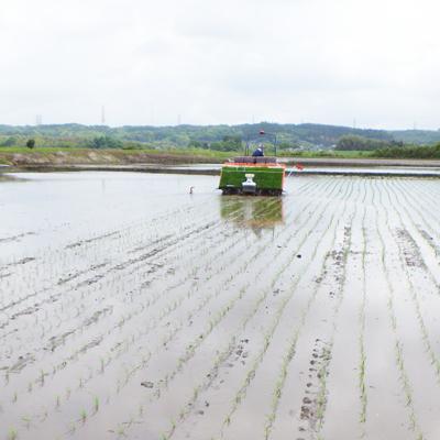 ふるさと納税 城里町 【令和6年産】城里町内・桂農産の【ふくまる】5kg(精米) |  | 01