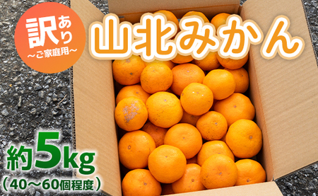 訳あり 山北みかん ご家庭用 約5kg（約40～60個） 山北みらい【ミカン ミカン ミカン ミカン ミカン ミカン】 yk-0042