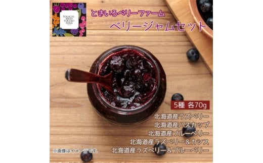 ベリージャムセット全5種 各70g×3セット【1678028】