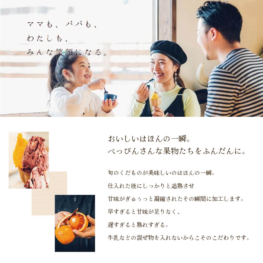 贅沢素材・10種のジェラート【EK0000014】