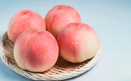 【定期便2回】山形厳選！夏と秋のフルーツ贅沢品(柔らかくなる桃、シャインマスカット) 【令和7年産先行予約】FS24-746