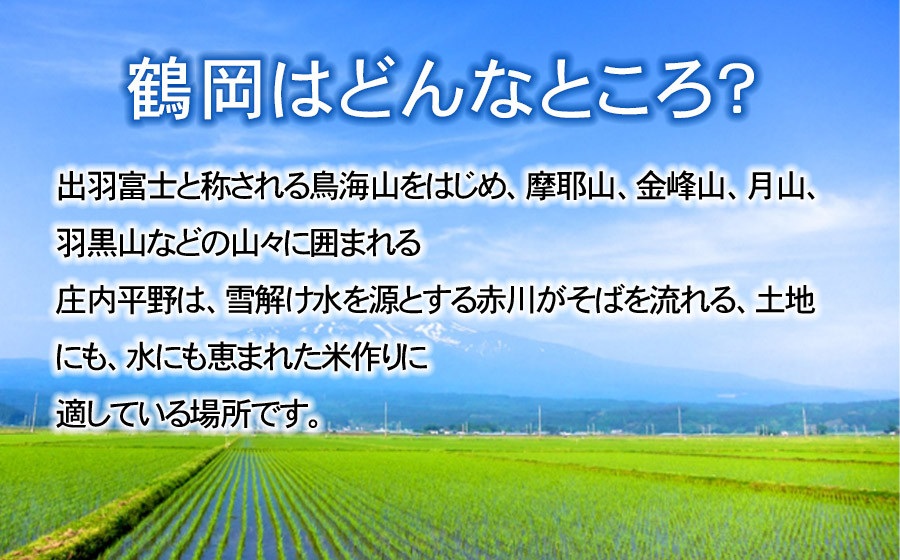 【令和8年産先行予約】特別栽培米つや姫 無洗米 5kg (5kg×1袋)×6ヶ月【定期便】　鶴岡協同ファーム