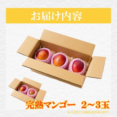 ふるさと納税 室戸市 【先行受付】 完熟マンゴー 2〜3玉入り アップルマンゴー 室戸海洋深層水使用 |  | 01