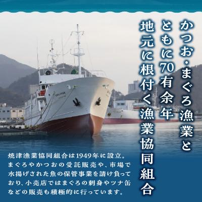 ふるさと納税 焼津市 焼津港3点セット(a23-023) |  | 01