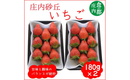 食の都庄内　庄内砂丘のいちご2パック（2L～L）やや小粒も含む※令和7年1月中旬頃より発送開始予定