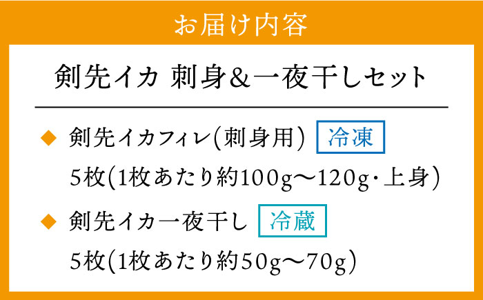 ケンサキイカ 刺身 & 一夜干し セット 剣先イカ 烏賊 《壱岐市》 【一支國屋】 おつまみ フィレ [JCC009] 18000 18000円