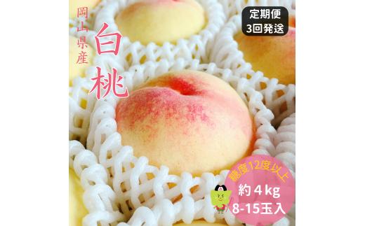 土-20　白桃 特秀 ロイヤル 大玉 定期便 約4kg 3回発送 岡山県産 桃 もも  御中元 ギフト 御礼 プレゼント 御礼 御祝 御供 果物 くだもの フルーツ
