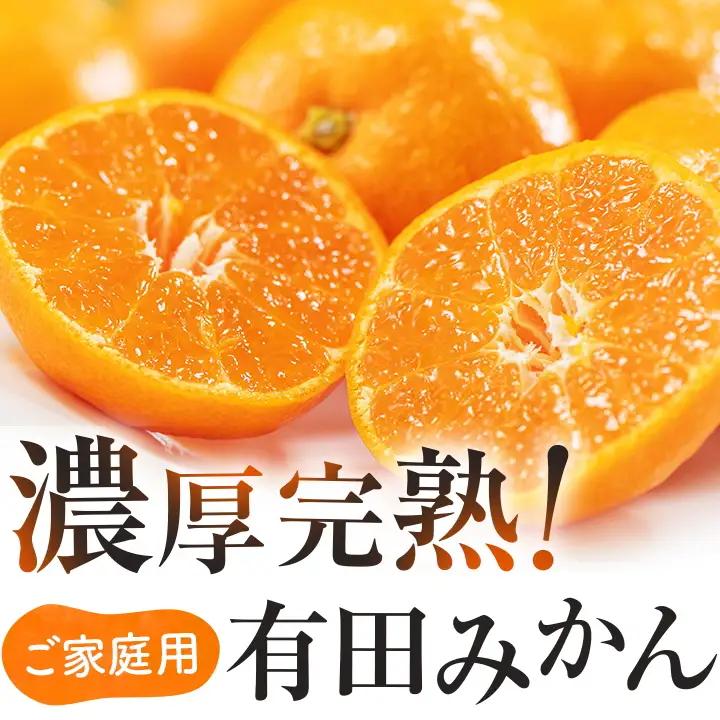 【11月発送】有田育ちの完熟有田みかん 家庭用 サイズ混合(2S～2L)　約5.2kg(5kg+200g)【ard186D-11】