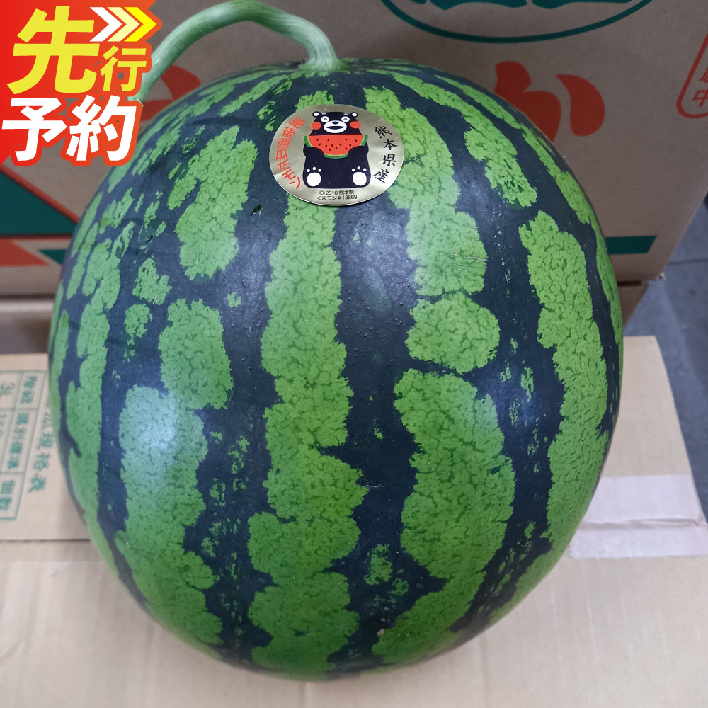 【ふるさと納税】熊本特産！大玉 スイカ 1玉（約6kg以上）すいか 西瓜 くだもの 果物 フルーツ 熊本市産 熊本県産 九州産 国産 送料無料【2027年6月上旬～7月下旬発送予定】
