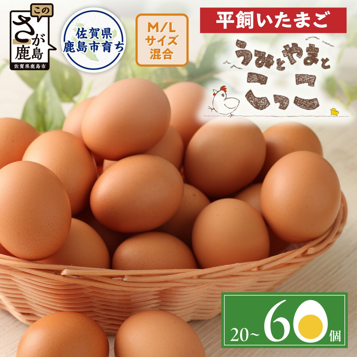 【ふるさと納税】平飼い卵「うみとやまとこっこ」新鮮 たまご M・Lサイズ混合 上田養鶏場 生産者直送 | ふるさと納税 卵 平飼い たまご タマゴ 玉子 鶏卵 ふるさと 産地直送 国産 九州産 佐賀県 鹿島市 人気 送料無料
