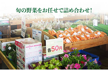 【 全6回 定期便 】 福岡県 糸島産 旬 の 野菜 盛り合わせ セット 《糸島》【株式会社フロンティア・アドバンス】 [AWC008]