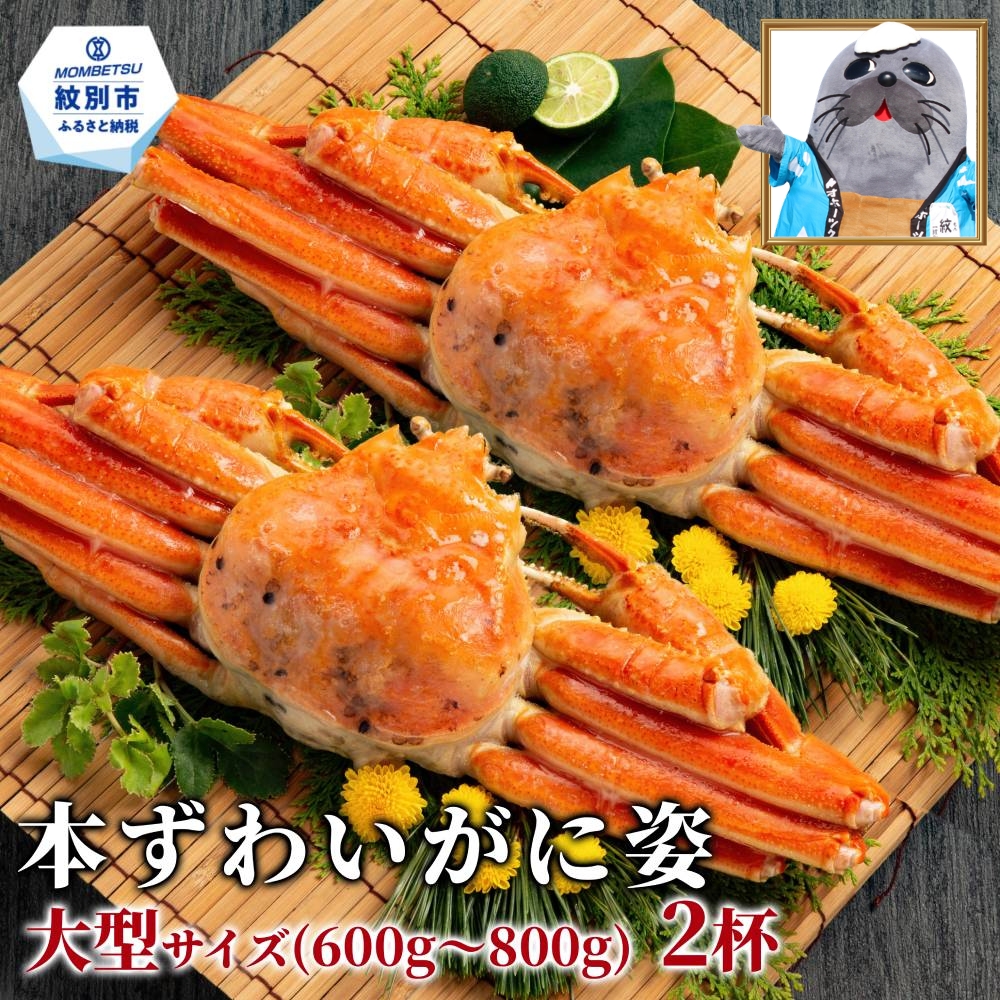 19-107 本ずわいがに姿 大型サイズ2杯 約600～800g<br>