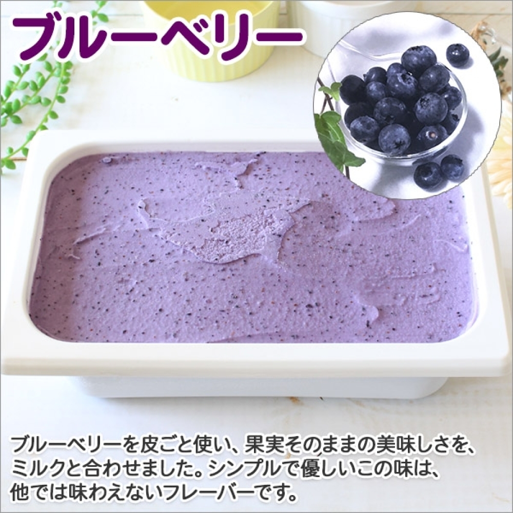 604.アイスクリーム ブルーベリー ジェラート ベリー 業務用 2リットル 2L アイス 大容量  手作り 北海道 弟子屈町_イメージ2