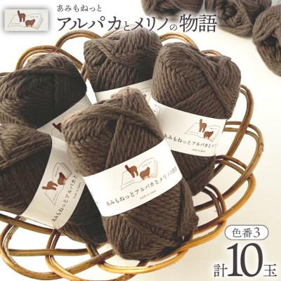 ふるさと納税 江南市 あみもねっと アルパカとメリノの物語 3番色 10玉セット