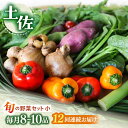 【ふるさと納税】【12回定期便】 土佐の太陽をいっぱいに浴びた旬の野菜セット小 【土佐野菜】[ATBA007]