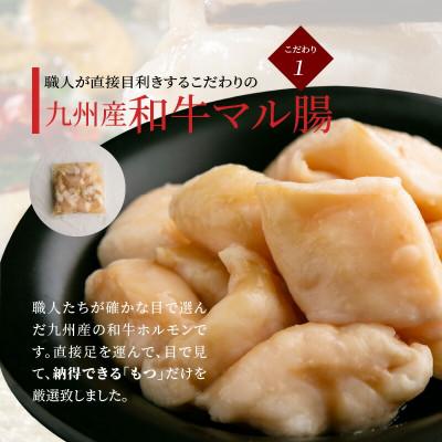 ふるさと納税 上毛町 ぶどうの樹のもつ鍋炊き餃子【3〜4人前】九州産和牛マル腸 |  | 01
