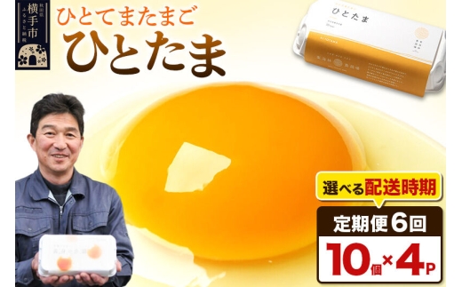 【常温発送】《定期便6ヶ月》ひとたま 10個×4P【発送時期が選べる】東海林養鶏場 ひとたま 卵 玉子 たまご タマゴ6か月 6ヵ月 6カ月 6ケ月 卵 玉子 たまご 開始時期選べる [東海林養鶏場 ひとたま 卵 玉子 たまご タマゴ6か月 6ヵ月 6カ月 6ケ月 卵 玉子 たまご 開始時期選べる]