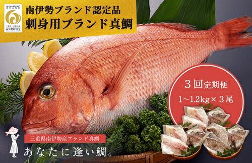 【ふるさと納税】 定期便 （冷蔵）じゅわ～っと甘み溢れるブランド真鯛1～1.2kgを3回お届け！ 食べ比べ 皮あり スキンレス 4ヶ月に1回 ／ はさま あなたに逢い鯛。 鯛 真鯛 刺身 湯引き 南伊勢町 伊勢志摩