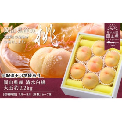 岡山県産　清水白桃　約2.2kg(大玉6～7玉)【配送不可地域：離島】
