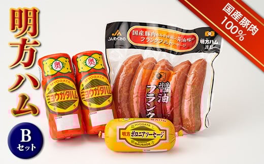 
            明方ハム Bセット ソーセージ ハム フランクフルト 詰め合わせ 計1420g 国産 豚肉 岐阜県 坂祝町 さかほぎ F6M-018
          