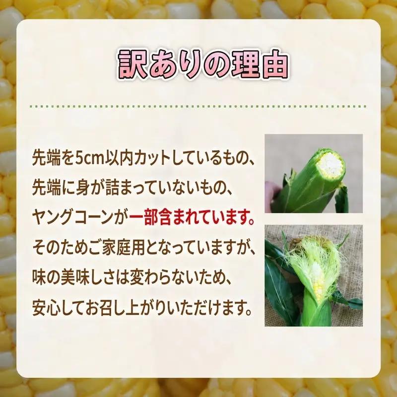 とうもろこし 訳あり 先行予約 甘々娘 甘太郎 約8〜14本 とうもろこし