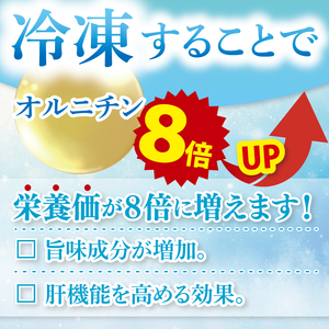 茨城県涸沼川産 だしの濃さに違いが出る！手掘しじみ（砂抜き）500g×２個（1kg）【涸沼川 シジミ オルニチン 味噌汁 スープ 茨城県 水戸市】（MS-7）
